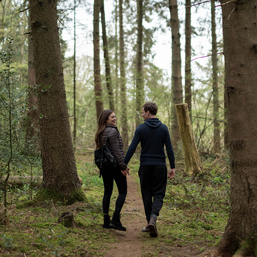 a couple walk through beautiful Surrey woods
